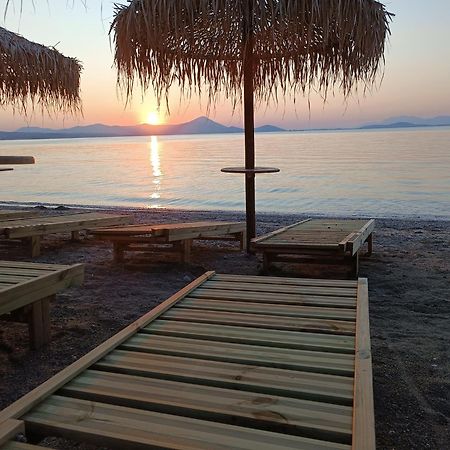 Μοντέρνα Εξοχική Μονοκατοικία Με Ιδιωτική Πισίνα! Khalkoutsion Eksteriør billede