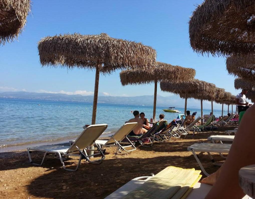 Μοντέρνα Εξοχική Μονοκατοικία Με Ιδιωτική Πισίνα! Khalkoutsion Eksteriør billede