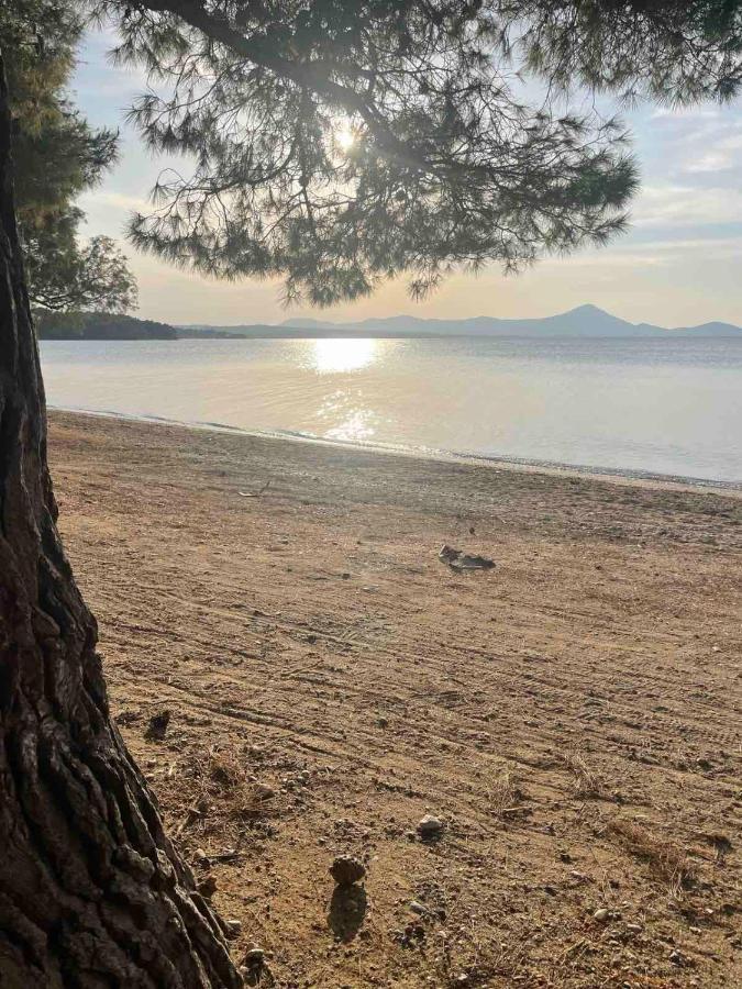 Μοντέρνα Εξοχική Μονοκατοικία Με Ιδιωτική Πισίνα! Khalkoutsion Eksteriør billede